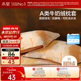 水星家纺枕套牛奶绒冬季双面保暖对枕套抗静电A类枕头罩一对装双人48x74cm