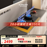 方太【新款定时灶】燃气灶天然气 5.2kW*70%热效率猛火 可烟灶联动 易清洁 02-TE21