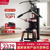 军霞（JUNXIA） 综合训练器运动器械健身器材家用单人多功能大型力量运动器材 DS918可折叠款+升级蝴蝶臂+安装