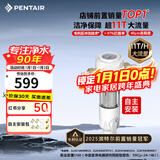 滨特尔（pentair）前置过滤器大通量家用全屋自来水管道40μm过滤器大流量水驱涡轮+反冲洗刮洗净水器 【自主安装】S160升级11T大通量