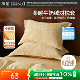 水星家纺枕套牛奶绒冬季双面保暖对枕套抗静电A类枕头罩一对装双人48x74cm