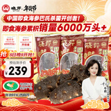 晓芹大连冷冻即食海参300g 7-10只 辽刺参 海鲜水产 年货