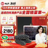 晓芹大连12小时干海参180g 50-65只 辽刺参 速发海参干货 年货礼盒