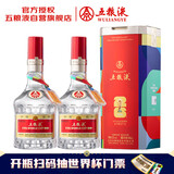 五粮液普五八代 足球世界杯联名 浓香型白酒 52度 500mL双瓶礼物