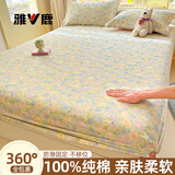 雅鹿100%全棉床笠1.8米x2米家用印花床罩单件全包榻榻米床垫保护套罩 栀子花语【100%甄选新疆棉】 单床笠-180x200cm适用5-28cm床垫