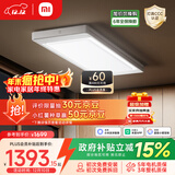 米家智能晾衣机2 Pro 【国家补贴】小米电动隐形晾衣架3D曲面穹顶灯