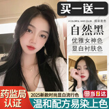 绿宸（2盒装）染发剂膏植萃男女士染头发遮盖白发物泡泡纯染发膏400ml 自然黑色 200ml*2盒 220