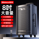 新科T30  广场舞音响木质大功率便携式户外重低音蓝牙k歌专用大音量移动拉杆音箱室外演出 8吋