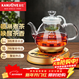 金灶（KAMJOVE）热压喷淋煮茶器 煮黑茶普洱 茶具电热水壶蒸茶壶 养生壶煮茶玻璃壶 A-55