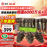 晓芹 大连即食海参 400g 7-10只 辽刺参 海鲜水产