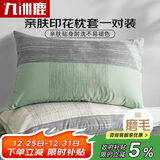 九洲鹿 枕头套枕套一对磨毛枕芯套学生家用2只装单双人枕头罩北欧ins风