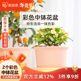 爱丽思花盆塑料加厚家用阳台盆景多肉专用盆栽盆 粉色口径15.6cm2个装