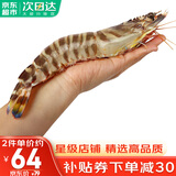 哆鲜生 海捕竹节虾 野外生长活冻国产斑节虾大花对虾九节竹节鬼虾虾类 竹节虾 大号 7-9条 300g(净重)