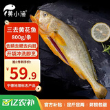 黄小渔宁德三去黄花鱼800g/条净重 大黄鱼生鲜 鱼类海鱼 海鲜水产