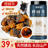 修年堂 桦树茸250g/罐 长白山白桦茸桦褐孔菌华树茸桑黄灵芝伴侣茶