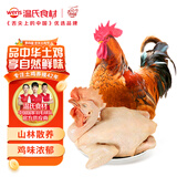 温氏供港农养大公鸡2.8斤 高品质 冷冻土鸡散养走地鸡炒鸡 整鸡