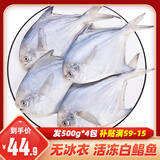 一虾一世界 国产新鲜冷冻无冰衣白鲳鱼/金鲳鱼 清蒸香煎烧烤食材 新鲜捕捞 小白鲳鱼4斤【6条/斤】