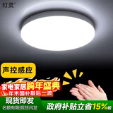 灯灵雷达声控感应灯光控楼梯间小区过道入户走廊玄关阳台车库吸顶灯 22cm-18w声控感应