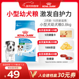 皇家狗粮 幼犬狗粮 幼犬奶糕宠物小型犬MIJ31全价犬粮2-10月800g