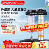 爱惠浦（Everpure）家用厨下直饮 长寿命滤芯 大流量0废水 4升/分钟 10000L额定净水量净水器4FCS-CN  