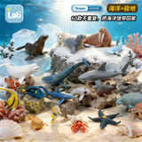 乐蓓富全套儿童仿真海洋动物模型玩具大白鲨鱼鲸鱼海底世界生物新年礼物