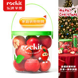 乐淇（ROCKIT） 新西兰火箭筒苹果抱抱筒装553g起 新鲜水果礼盒 源头直发