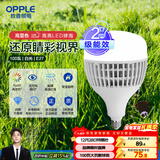 欧普照明（OPPLE）LED灯泡2级能效灯泡E27螺口商用摆摊大功率厂房工矿灯100瓦白光
