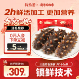 珍品堂 大连即食海参 底播辽参 开袋即食独立包装海参即食 送长辈礼物品 【营养滋补 中规格】即食海参1斤14-16只