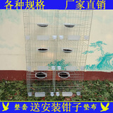 鹏实加粗鸽笼鸽子笼养殖笼 配对鸽笼子养殖肉鸽笼子 笼子家用阳台鸽笼 6笼位带配件