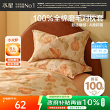 水星家纺枕套纯棉100%全棉磨毛柔感对枕套抑菌A类枕头罩一对装双人48x74cm