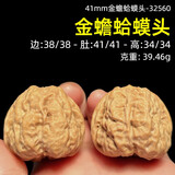 山中玉【一物六图】文玩核桃狮子头手把件青皮老树王勇盘玩圣诞礼物 新41mm金蟾蛤蟆头-32560