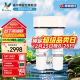 道尔顿（Doulton） 净水器家用直饮高端厨房净水机DIP203 滤水器
