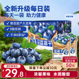 三只松鼠每日蓝莓干256g/16包 无添加水果干果脯小包装儿童老人办公室零食