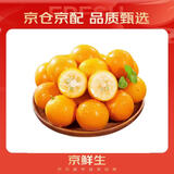 京鲜生 云南油皮金桔/金橘 净重2斤 单果12g起 生鲜水果