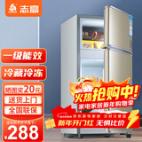 志高（CHIGO）小冰箱迷你小型家用冷藏冷冻两用宿舍出租房用双门办公室电冰箱节能省电 【一级能效】48L金色【三天约一度电】