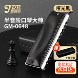 嘉德瑞JDR半音阶口琴12孔C调GM-0648进口音簧初学专业演奏款-哑光黑