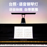 台照LED高亮钢琴灯儿童学生专用乐谱台灯触控五档调光调色智能练琴灯 优雅黑（语音控制款）
