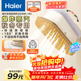 海尔（Haier）【2025新款】多功能挂烫机家用手持/便携小型电熨斗/微增压大蒸汽旅游出差除菌除螨熨烫机W0306(W)