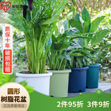 爱丽思花盆塑料圆形树脂多肉花盆种花种菜盆绿萝爱丽丝 白色口径20.3cm