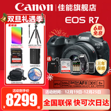 佳能（Canon） EOS R7 微单相机 高速度 高分辨率 APS-C画幅 r7专业数码相机 R7拆单机+18-45镜头套装【高性价比家用】 套餐五【256G高速卡~卡色金环UV~捷宝三脚架】