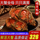 【活蟹】阳澄清歆大闸蟹 鲜活特大螃蟹公蟹母蟹 海鲜水产年货礼盒 大蟹全母蟹3.2-3.5两 八只礼盒装