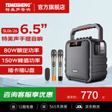特美声（TEMEISHENG） SL06-26广场舞户外便携音响家用移动K歌手提蓝牙低音小型音箱 6.5寸标配+2支无线话筒+大礼包 (赠送好礼)