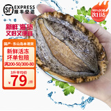 时寐东山岛九孔大鲍鱼深海海鲜东山岛直发火锅烧烤海鲜水产春节礼品 5头/500克