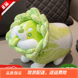 LittleCuCu蔬菜精灵菜狗娃娃抱枕睡觉玩偶白菜狗公仔毛绒玩具女友小孩礼物 经典蹲姿公仔22厘米 带防伪标，尺寸以吊牌为准