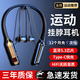 PINNY 1500小时超长待机蓝牙耳机无线颈挂脖式新款运动5.3芯片大电量可插内存卡颈挂式运动司机外卖骑手 炫酷黑 顶配1000小时待机+24D音效+5.3