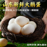 园囿农场山东新鲜鹅蛋杂粮喂养散养土鹅蛋6枚净重1.5斤源头直发包邮