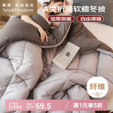 雅鹿·自由自在A类被子秋冬天季棉被芯单双人宿舍学生6斤200x230cm 古典灰