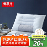 恒源祥枕头决明子颈椎枕双人睡觉颈枕抗菌午休枕芯硬枕头一对装48*74cm