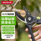 得力（deli）修枝剪刀树枝剪 防滑砧板果树剪花枝剪盆栽花卉园林园艺修枝神器