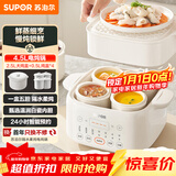 苏泊尔（SUPOR）电炖盅电炖锅隔水炖家用全自动煲汤炖汤锅陶瓷燕窝炖盅4.5L蒸炖一体多功能锅3-4人 DZ25FC873